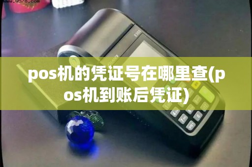 pos机的凭证号在哪里查(pos机到账后凭证)