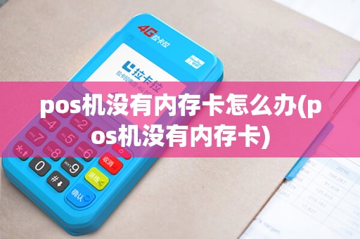 pos机没有内存卡怎么办(pos机没有内存卡)