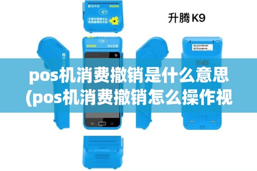pos机消费撤销是什么意思(pos机消费撤销怎么操作视频)