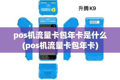 pos机流量卡包年卡是什么(pos机流量卡包年卡)