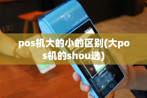 pos机大的小的区别(大pos机的shou选)