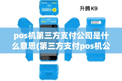 pos机第三方支付公司是什么意思(第三方支付pos机公司)