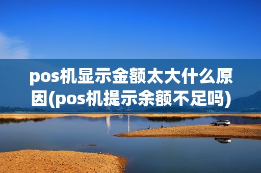 pos机显示金额太大什么原因(pos机提示余额不足吗)