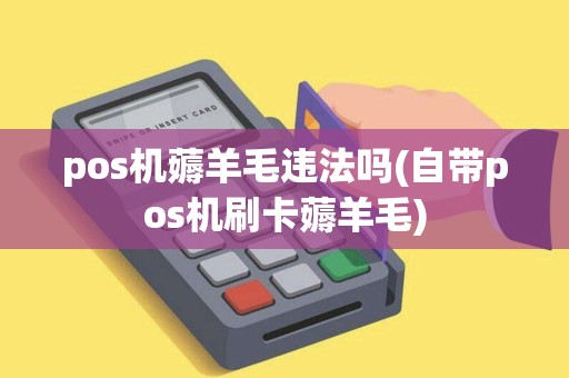 pos机薅羊毛违法吗(自带pos机刷卡薅羊毛)