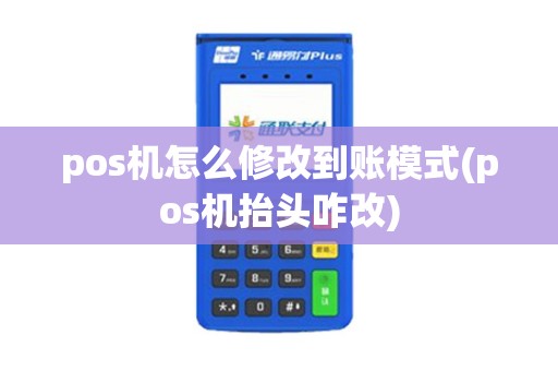 pos机怎么修改到账模式(pos机抬头咋改)