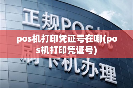 pos机打印凭证号在哪(pos机打印凭证号)