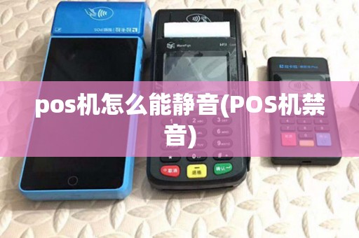 pos机怎么能静音(POS机禁音)