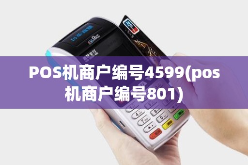 POS机商户编号4599(pos机商户编号801)