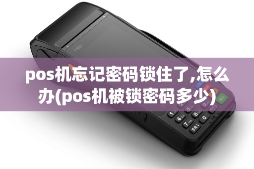 pos机忘记密码锁住了,怎么办(pos机被锁密码多少)