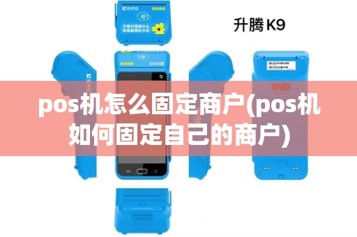 pos机怎么固定商户(pos机如何固定自己的商户)