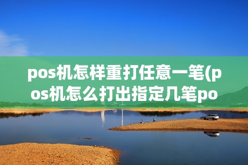 pos机怎样重打任意一笔(pos机怎么打出指定几笔pos单)