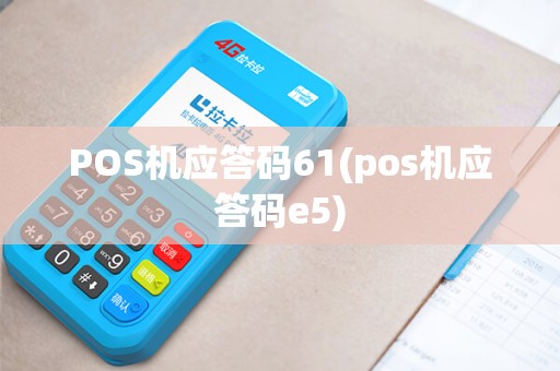 POS机应答码61(pos机应答码e5)