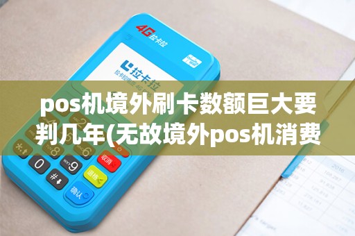 pos机境外刷卡数额巨大要判几年(无故境外pos机消费)