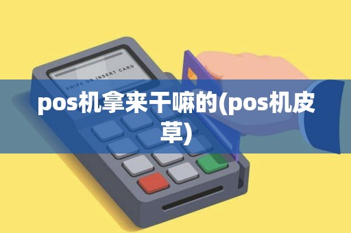 pos机拿来干嘛的(pos机皮草)
