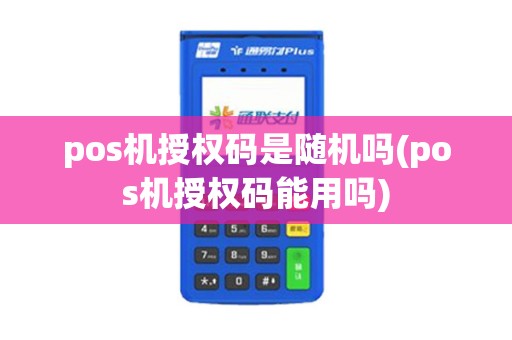 pos机授权码是随机吗(pos机授权码能用吗)