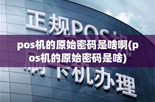 pos机的原始密码是啥啊(pos机的原始密码是啥)
