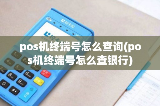 pos机终端号怎么查询(pos机终端号怎么查银行)