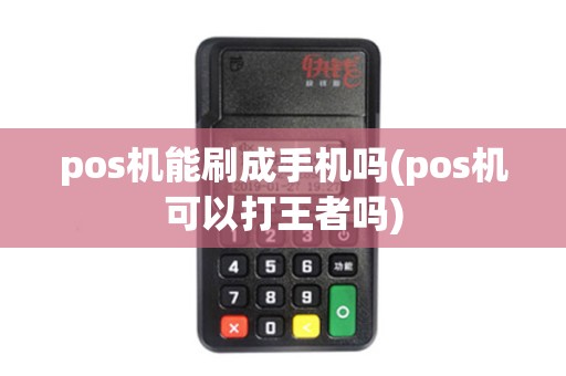 pos机能刷成手机吗(pos机可以打王者吗)