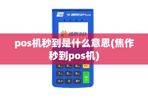 pos机秒到是什么意思(焦作秒到pos机)
