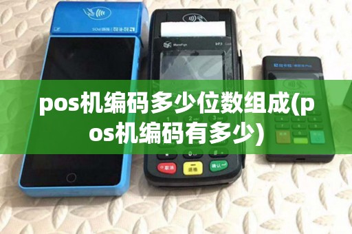 pos机编码多少位数组成(pos机编码有多少)
