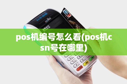 pos机编号怎么看(pos机csn号在哪里)