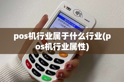 pos机行业属于什么行业(pos机行业属性)