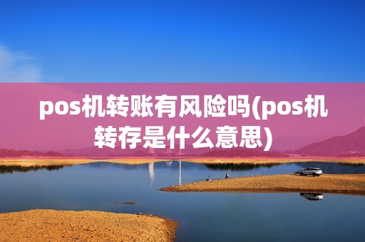 pos机转账有风险吗(pos机转存是什么意思)
