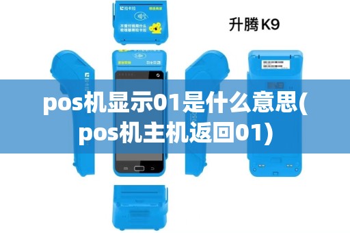 pos机显示01是什么意思(pos机主机返回01)