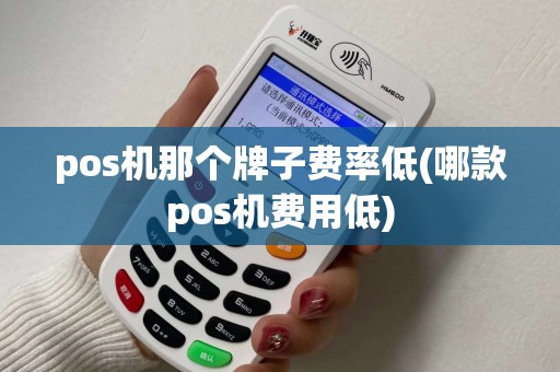 pos机那个牌子费率低(哪款pos机费用低)