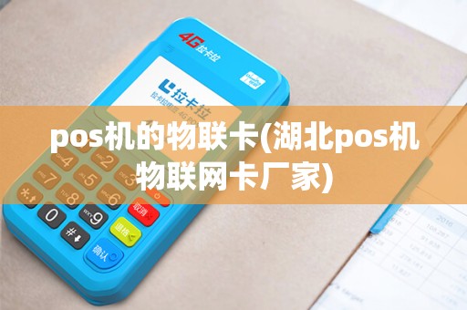 pos机的物联卡(湖北pos机物联网卡厂家)