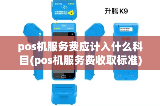 pos机服务费应计入什么科目(pos机服务费收取标准)