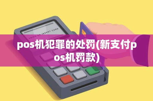 pos机犯罪的处罚(新支付pos机罚款)