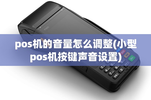pos机的音量怎么调整(小型pos机按键声音设置)