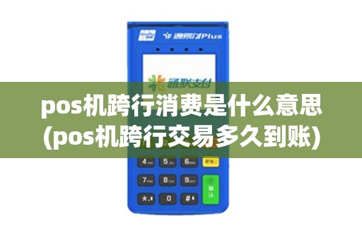 pos机跨行消费是什么意思(pos机跨行交易多久到账)