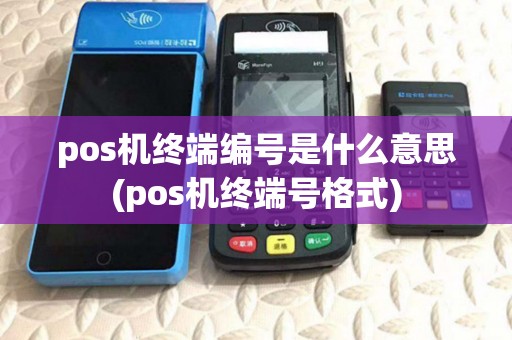 pos机终端编号是什么意思(pos机终端号格式)
