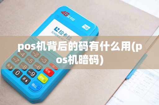 pos机背后的码有什么用(pos机暗码)