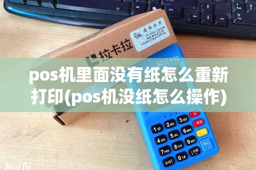 pos机里面没有纸怎么重新打印(pos机没纸怎么操作)