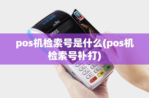 pos机检索号是什么(pos机检索号补打)