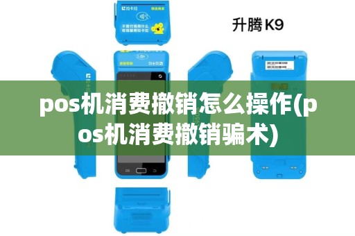 pos机消费撤销怎么操作(pos机消费撤销骗术)