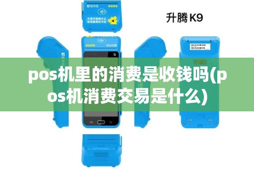 pos机里的消费是收钱吗(pos机消费交易是什么)