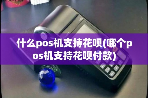 什么pos机支持花呗(哪个pos机支持花呗付款)