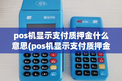 pos机显示支付质押金什么意思(pos机显示支付质押金)