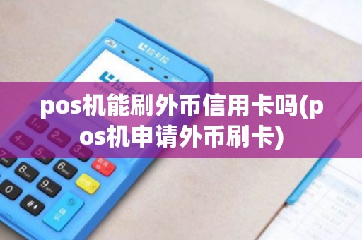 pos机能刷外币信用卡吗(pos机申请外币刷卡)