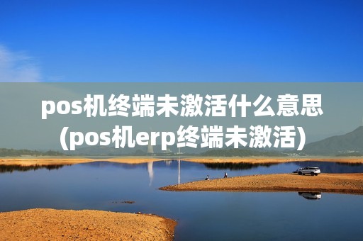 pos机终端未激活什么意思(pos机erp终端未激活)