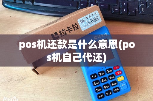 pos机还款是什么意思(pos机自己代还)
