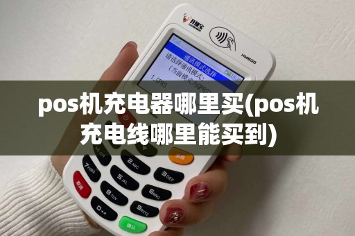 pos机充电器哪里买(pos机充电线哪里能买到)