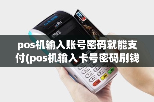pos机输入账号密码就能支付(pos机输入卡号密码刷钱)