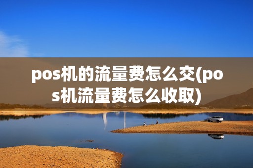 pos机的流量费怎么交(pos机流量费怎么收取)