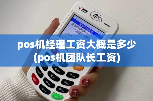pos机经理工资大概是多少(pos机团队长工资)