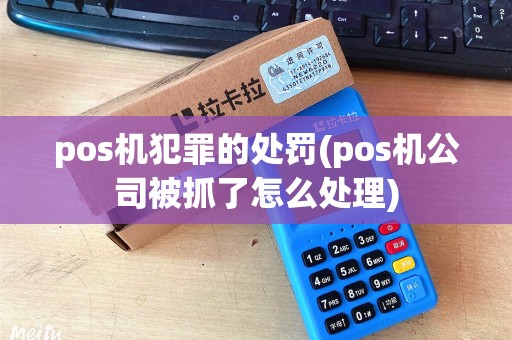 pos机犯罪的处罚(pos机公司被抓了怎么处理)